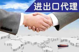 上海各區辦理進出口權業務的相關資料以及流程